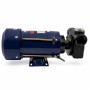Petroll Polaris 80 насос для бензина