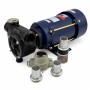 Petroll Polaris 80 насос для бензина