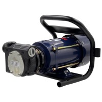 Petroll Polaris 80M насос для бензина